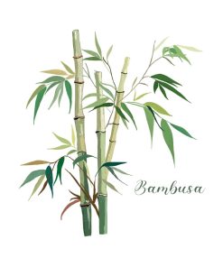 Carte d’art Aneleen « Bambou »