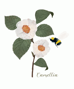 Carte d’art Aneleen « Camellia »