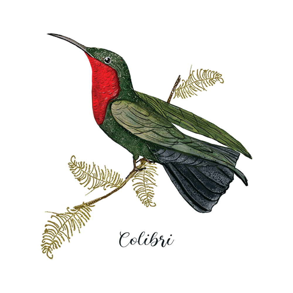 Carte d’art Aneleen « Colibri »