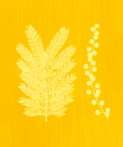 Cahier A5 80 pages Agnès Houart « Mimosa »