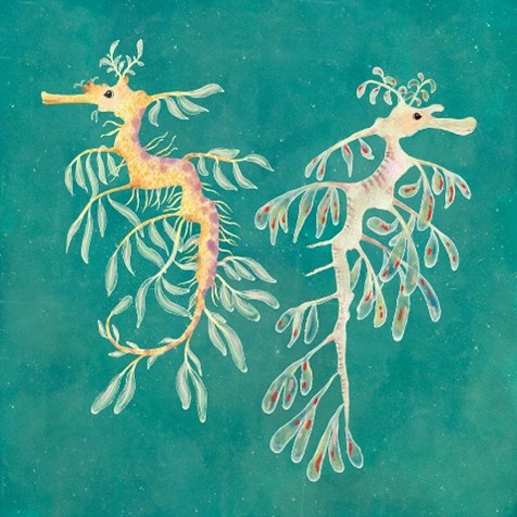 Carte d’art Katherine Quinn « Sea dragons »